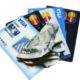 Good Debt: Unpacking Its Financial Advantages