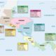 Belize’s Border Dispute: Understanding the Conflict with Guatemala
