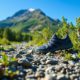 Xero Shoes: The Ultimate Guide for Summer Adventures