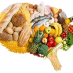 Brain Health Foods: Top Choices for Cognitive Support