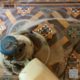 Victorian Hallway Tiles Cleaning for Lasting Floor Beauty