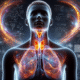 Thyroid Blood Test Essentials for Grimsby Locals