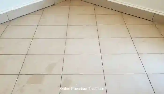 Porcelain Tile Restoration Techniques for Professionals