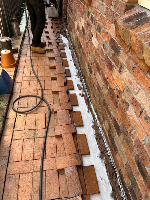 Termite Reticulation Systems for Sydney’s Reliable Protection