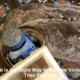 Victorian Tiles Restoration: Essential Techniques Uncovered