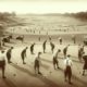 Germiston Golf Club: Top Destination for Golf Lovers