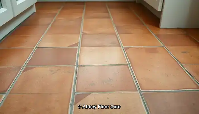 Identifying Key Factors That Lead to Rapid Dirt Accumulation on Terracotta Tiles