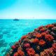 Belize Travel Guide: Key Insights and Tips for Your Trip