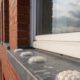 Bird Proofing Solutions: Alternatives to Spike Gel Repellents
