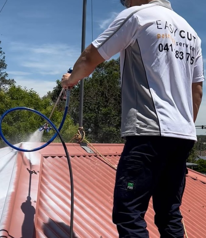 Metal Roof Painting: Expert Tips from a Hills District Painter