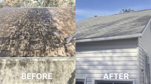 Discover the Remarkable Advantages of Soft Washing for Effective Home Maintenance
