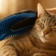 Grooming Gloves: Essential Fur Care for Your Cat