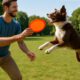 Frisbee Throwing Techniques for Training Your Dog Today!