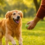 Thyroid Imbalance in Older Pets: Causes and Care Strategies