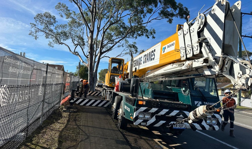 Crane-Assisted Tree Removal Insights from Edgeworth Case Study