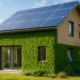 Entry-Level Property Guide for Springs: Your Easy Resource