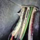 Electrical Faults and Managing Ants, Rats, and Mice at Home