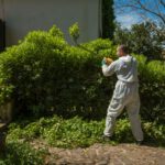 Green Waste Solutions: 4 Effective Disposal Options