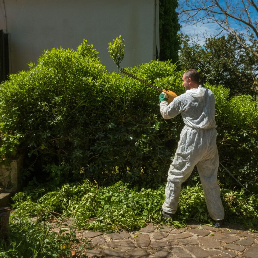 Green Waste Solutions: 4 Effective Strategies for Disposal