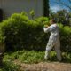 Green Waste Solutions: 4 Effective Strategies for Disposal