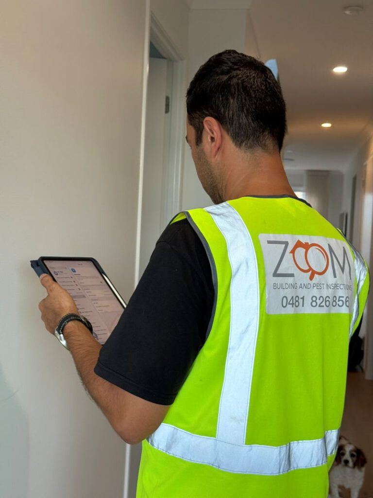 Building and Pest Inspection Options in Brisbane: What to Choose?