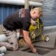 Tree Roots in Drains: A Concern for Sutherland Shire Homes