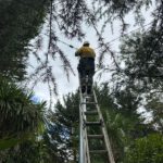 Mid North Coast Electrical Defect Notice Response Guide